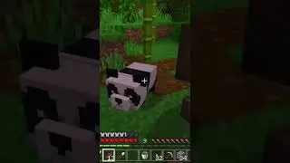 Baby panda! #minecraft #shorts