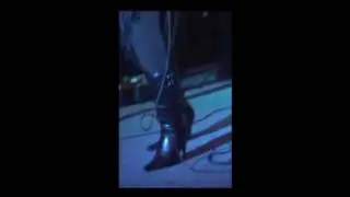 SWEET ANGEL.wmv