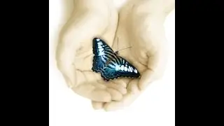 Jamie Thomas-Bright: Continuing Education after a loss   Grief Certification