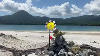 433 Pinwheel Overlooking Lake Usori Spins with Enthusiastic Vigour #buddhisttemple #pinwheel