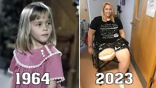 Bewitched 1964 Cast: Then and Now - Enchanting Transformations!