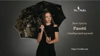 Зонт-трость Pasotti зеленый с бамбуковой ручкой. Обзор Mr. Wallet