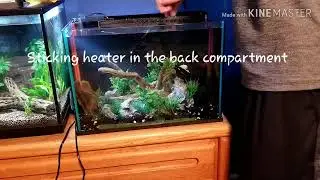 Top Fin Dazzle 5 gallon Setup