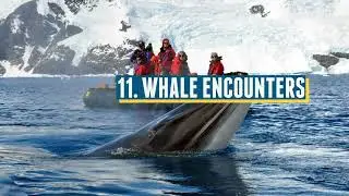 Top 13 Travel Experiences in Antarctica