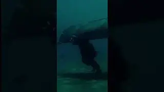 Джек Воробей. 