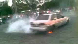 rafelin en el palkeo del este cerito