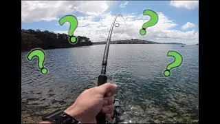 Port Hacking River - WHAT COULD THIS HAVE BEEN??