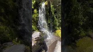 Easy New Zealand Hike to see Volcanoes and Waterfalls