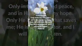 IG 713  Psalm 62