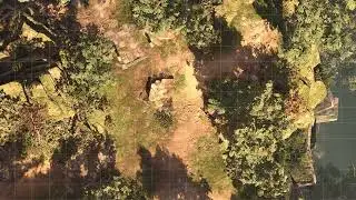 Forest | D&D Animated Battle Maps (BG3)