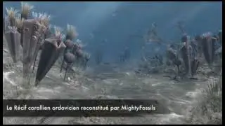 ordovicien 1
