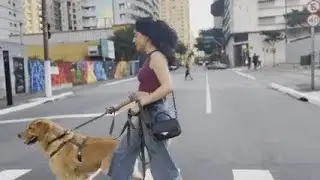 30 Best Hands-Free Dog Leashes of 2025, Tried and Tested
