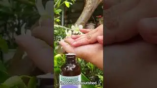 virgin coconut oil with lavender essence 🥥🪻 #massage #massageoil #coconutoil  #lavenderessence