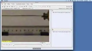 Particle Tracking with 