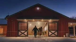 Building Value Days Sale Commercial - Equine