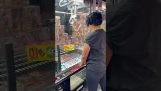 Claw Machine Game Round 1 Arcade- Box Drop for Spy Family Luminasta