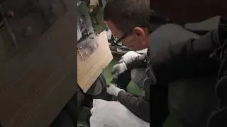В ШУМНОМ БАЛАГАНЕ #анатолийлютый #лютыйстудия