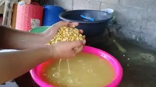 Lavando el Maiz para llevarlo al Molino Parte#2 El salvador 4x4