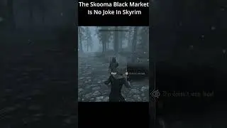 Не связывайтесь с каджитом и его скумой в Скайриме! #gaming #skyrim