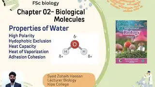 Properties of Water | 11class BIOLOGY | Chap2: Biological molecules |Syed Zohaib Hassan