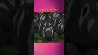 🔥⛩️ОБОРОТНИ В АНИМЕ МИЯДЗАКИ