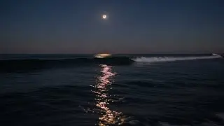 10 Hours of Gentle Ocean Waves on a Peaceful Beach | Sleep, Study & Relaxation (dark Screen)