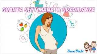 Quarta Settimana di Gravidanza