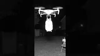 A.i. cat flying drone 🙀 #viral #funny#animals #cat #nature #meme #drone #flying