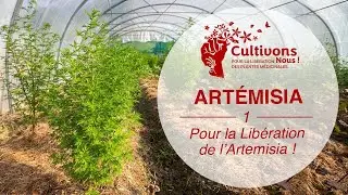 I. Pour la Lib&eacute;ration de l&rsquo;Art&eacute;misia ! [Cultivons-nous ! #1]