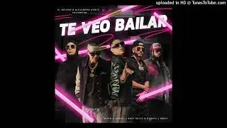 Brray Ft. Wisin, Yandel, Baby Rasta, Gringo - Te Veo Bailar