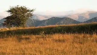 GOMBR&Eacute;N MUNICIPI DE LA COMARCA DEL RIPOLL&Eacute;S