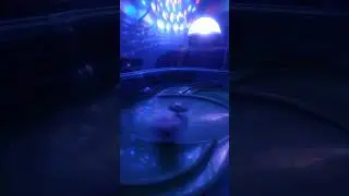 Beyblade Batalla Entre Death Quetzalc&oacute;atl y Typhon T4 En Estad&iacute;o Slingshock