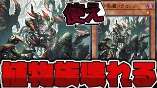 【遊戯王】 植物サーキュラー爆誕!? いきなり壊れるな！ 『血樹竜姫ドラセレア』 【ゆっくり解説】