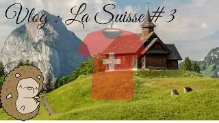 [Vlog] Voyage en Suisse : Surprises, difficult&eacute;s et premier jour de travail #3