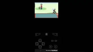 guida Pokemon Smeraldo parte 23 percorso 118