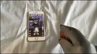 SB Movie shark puppet plays talking tom 2 only shark puppet 's crazy Scream