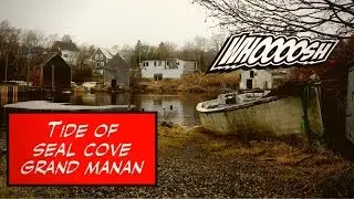 tide seal cove grand manan timelapse