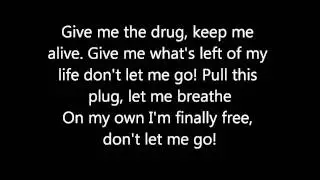 Rise Against Injection [w/lyrics]