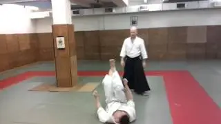 Aikido: Mae geri iriminage ura - direct form