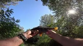 В поисках окуня с лайтом