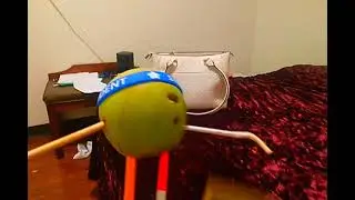 The New Channel (1999) | The Puppet Stupid Show