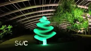 Michael Bosanko S4C Tree Ident 2012 (7 of 7)