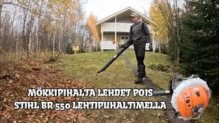 Mökkipihalta lehdet pois Stihl BR 550 lehtipuhaltimella
