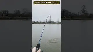 Feeder pruty na lov jemnou sestavou By D&ouml;me Team Feeder Fine Method #rybařen&iacute;