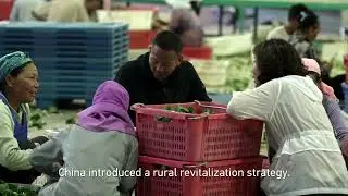 Chinese technology turns desert sand into arable soil