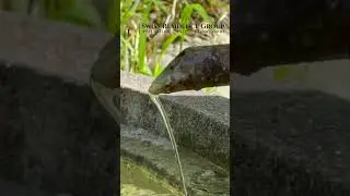 Einzigartiges Bauland mit Traumblick zu den Bergen und auf den See