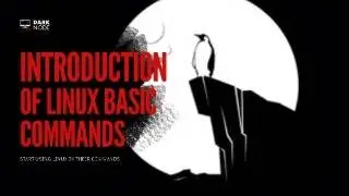 Linux basics and commands | Basic navigation shortcuts #informationsecurity #linux #cybersecurity