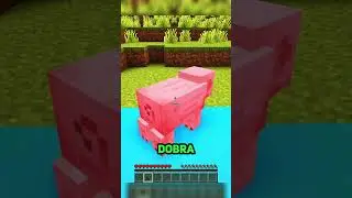 NIE MOŻESZ ZEJŚĆ Z TEGO BLOKU w MINECRAFT!