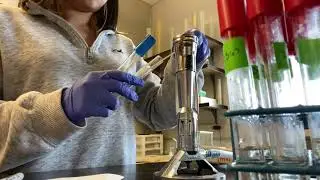 Vờ l&oacute;c 2 ;)) Research be like...