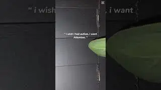 Kinda vent.. and yes I am autistic feel free to ask questions in the comments